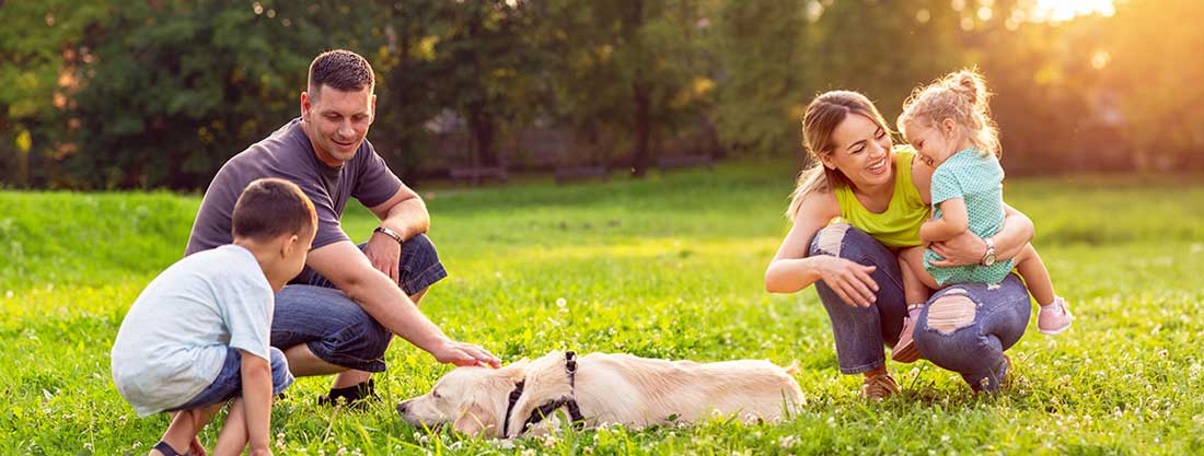 family of four, playing with dog