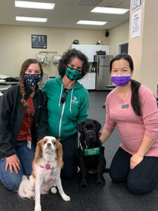 team with animal therapy pets